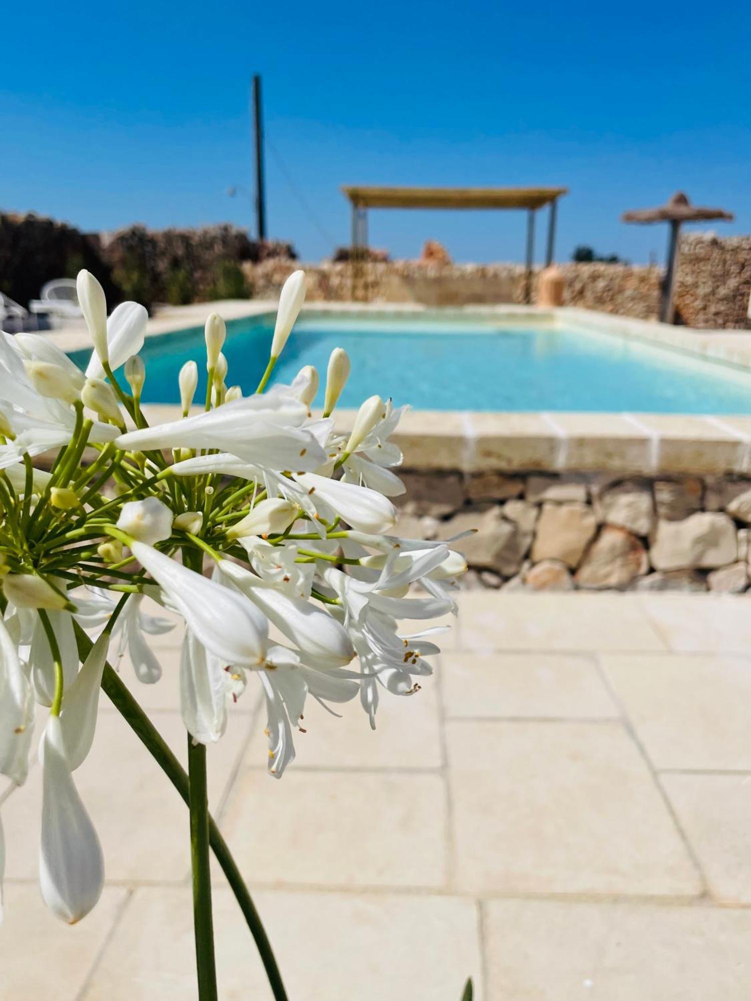 Masseria Voluzzi Copertino Extérieur photo