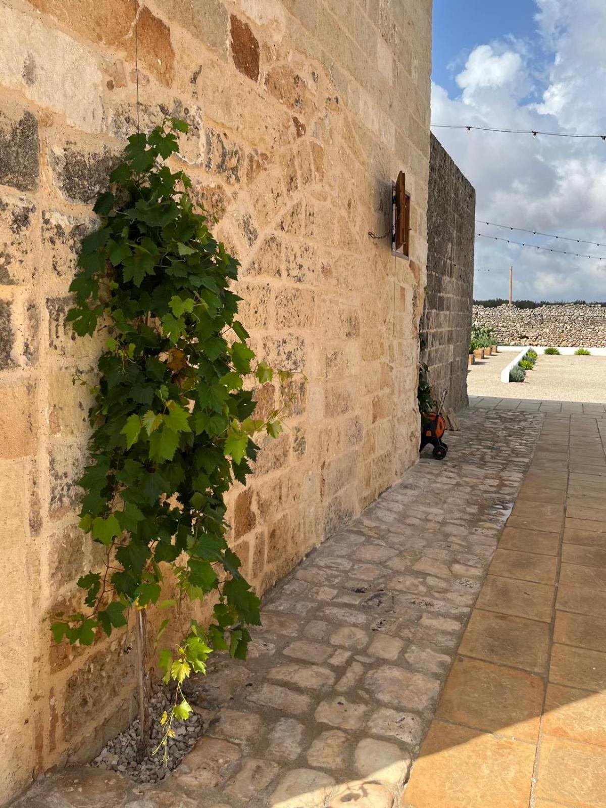 Masseria Voluzzi Copertino Extérieur photo